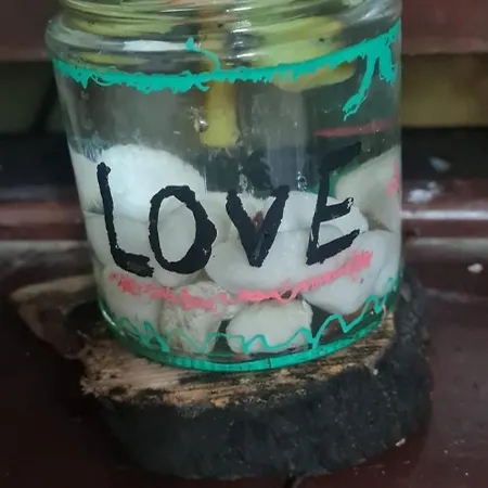 Mgrahamhouse Tacoronte