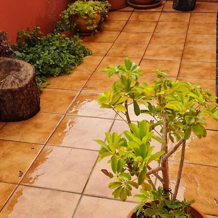 Feriehus Mgrahamhouse *