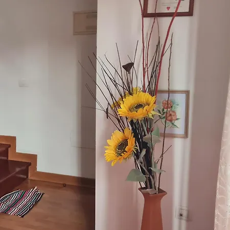 Mgrahamhouse تاكورونتي
