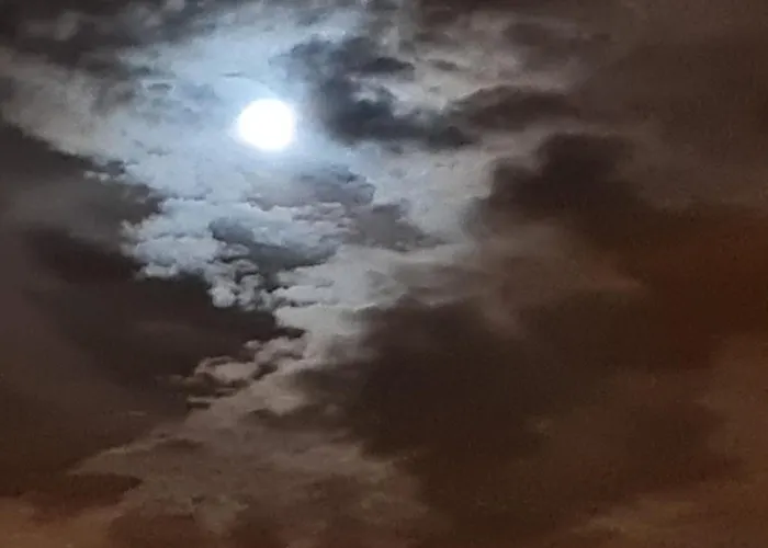 Mgrahamhouse * Tacoronte