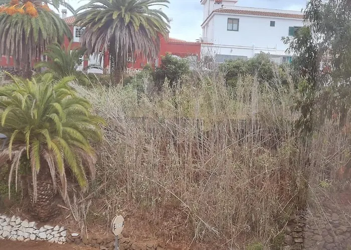 Holiday home Mgrahamhouse Tacoronte