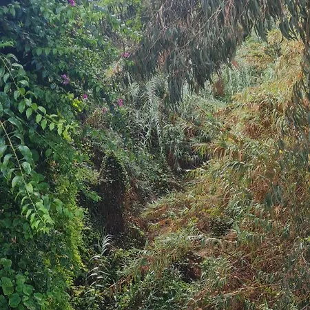 Mgrahamhouse Nyaraló *