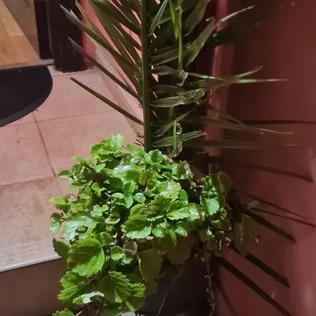 Dom wakacyjny Mgrahamhouse *