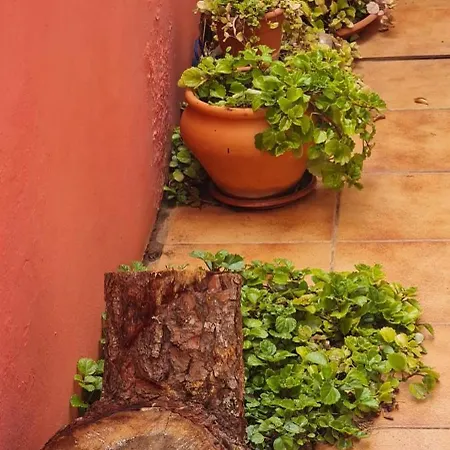 Dom wakacyjny Mgrahamhouse Tacoronte