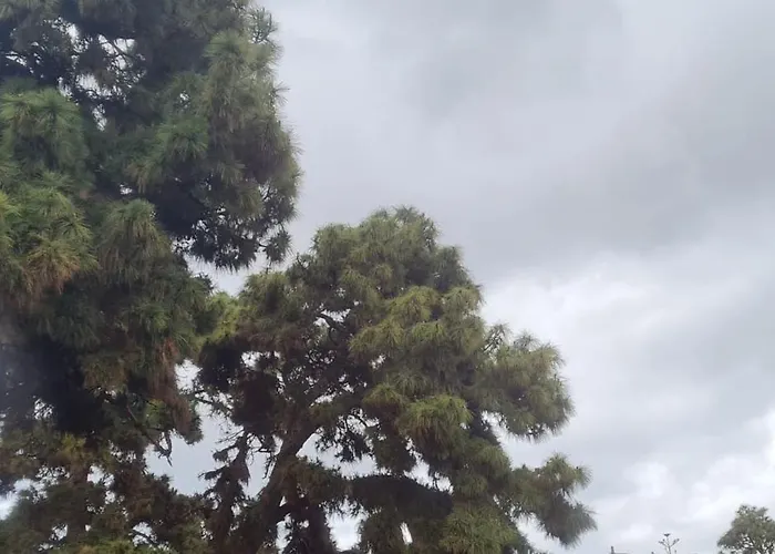 Semesterbostad Mgrahamhouse *