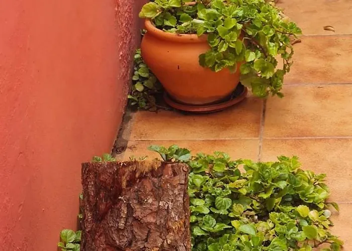 Casa vacanze Mgrahamhouse Tacoronte