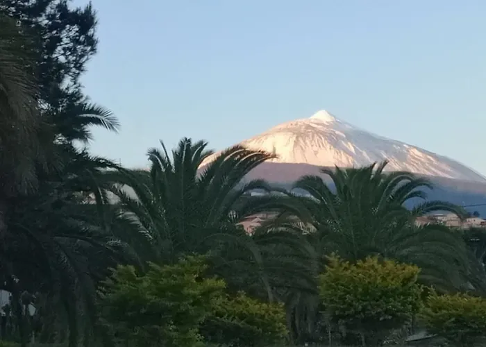 Mgrahamhouse Casa vacanze *