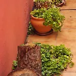Prázdninový dům Mgrahamhouse Tacoronte