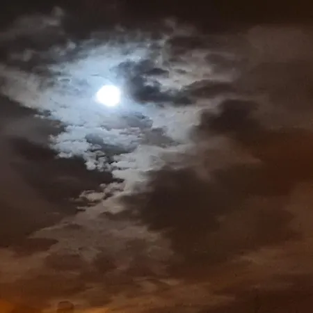 Mgrahamhouse * 塔科龙特