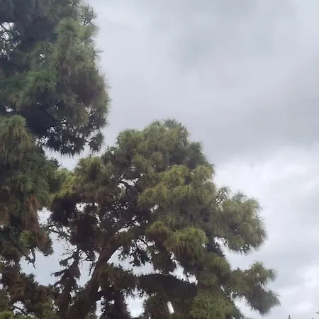 بيت للعطل Mgrahamhouse *