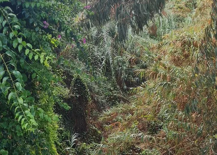 Mgrahamhouse بيت للعطل *