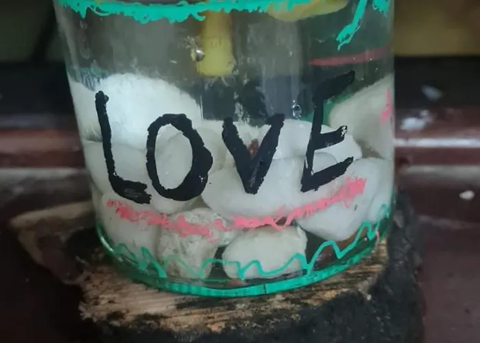 Mgrahamhouse تاكورونتي